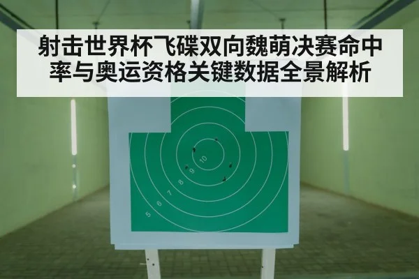 shooting range target